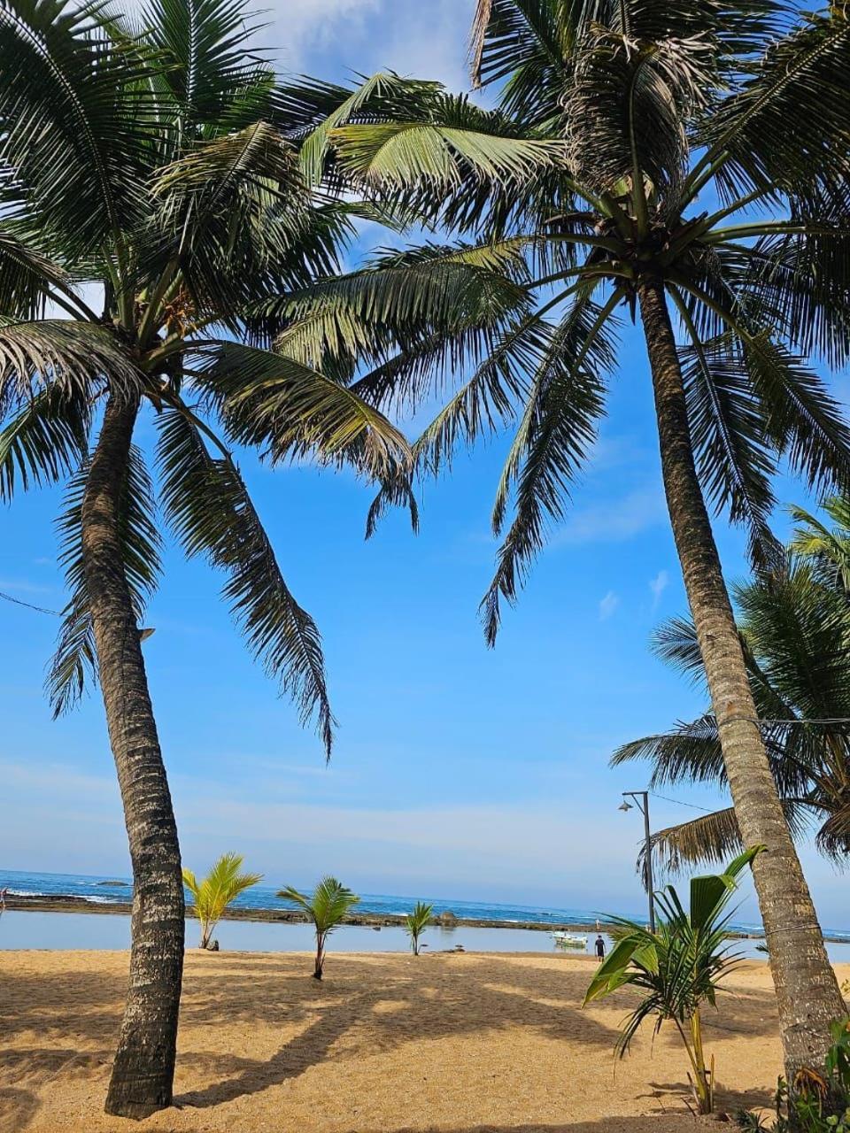 Paradise Bay Beruwala Zewnętrze zdjęcie