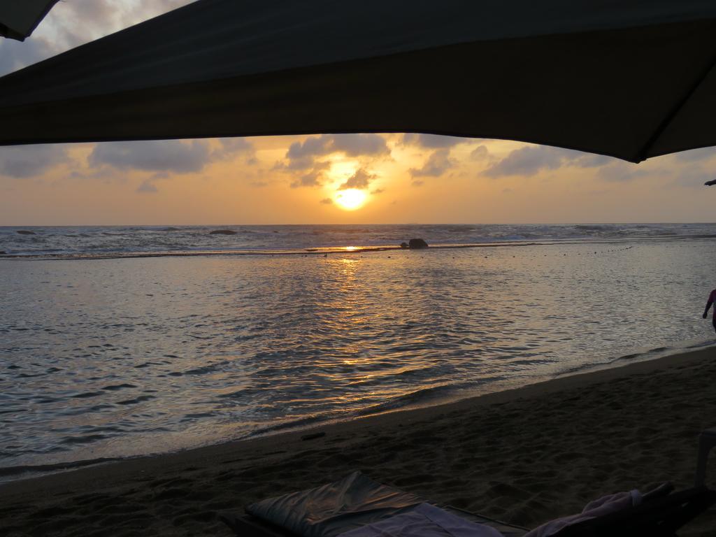 Paradise Bay Beruwala Zewnętrze zdjęcie